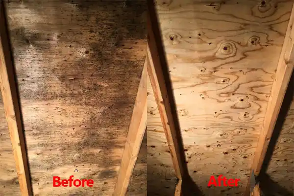 water damage restoration service Elmwood Park